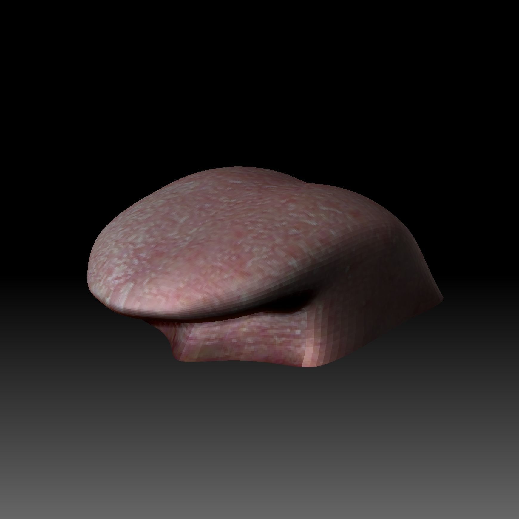 Realistic Old Man Head 3D Sculpt Low-poly 3D model_13