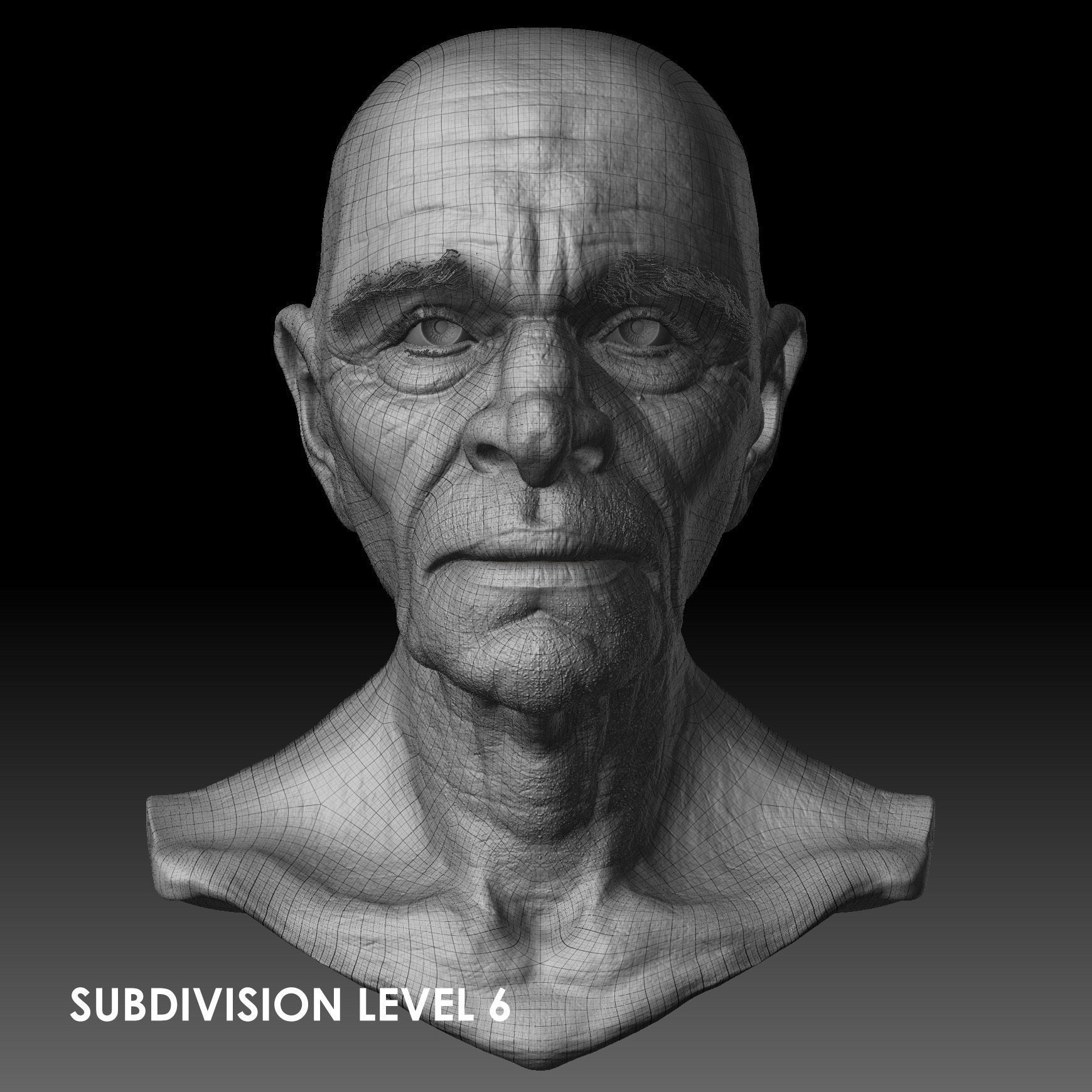 Realistic Old Man Head 3D Sculpt Low-poly 3D model_21