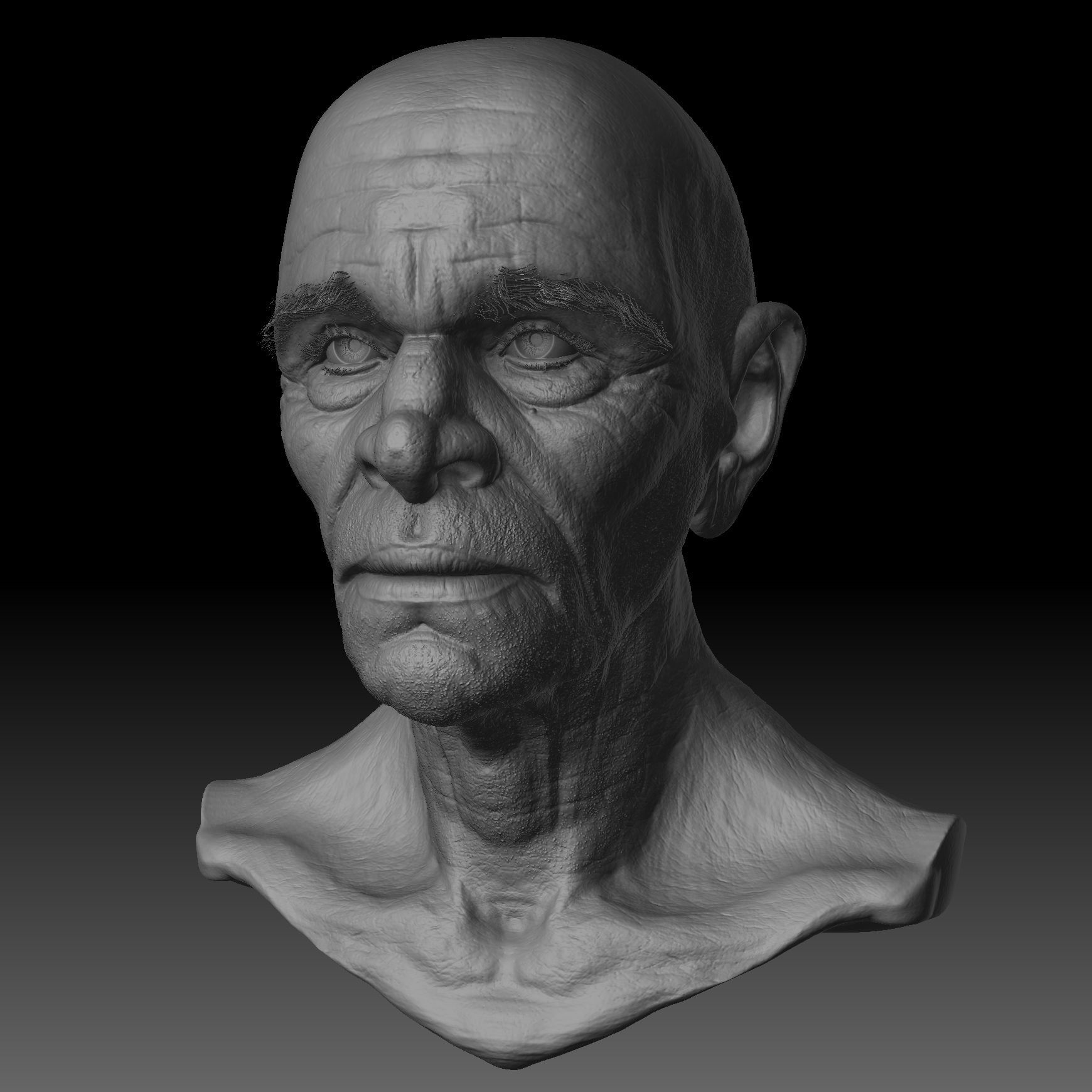 Realistic Old Man Head 3D Sculpt Low-poly 3D model_18