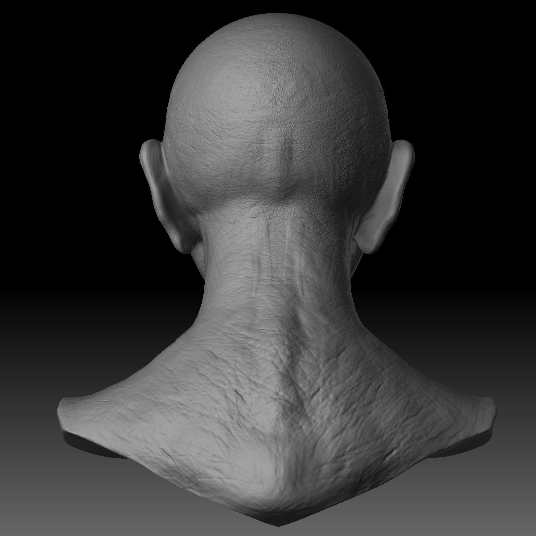 Realistic Old Man Head 3D Sculpt Low-poly 3D model_8