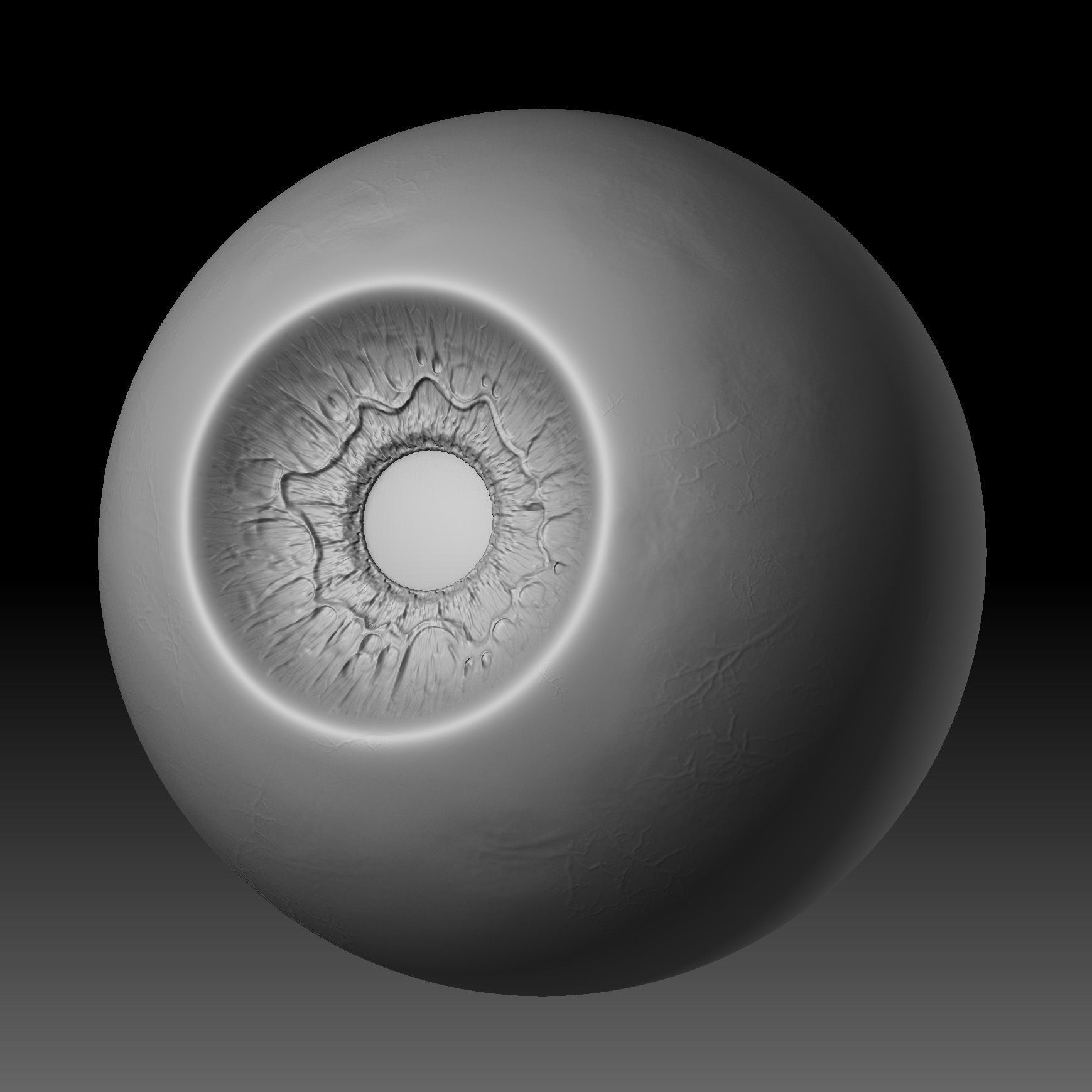 Realistic Old Man Head 3D Sculpt Low-poly 3D model_10