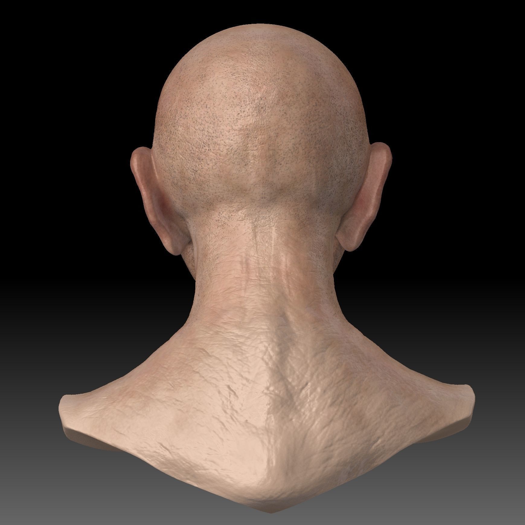 Realistic Old Man Head 3D Sculpt Low-poly 3D model_3