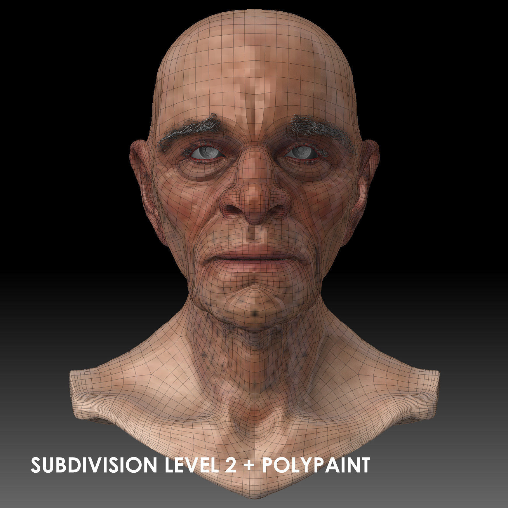 Realistic Old Man Head 3D Sculpt Low-poly 3D model_29