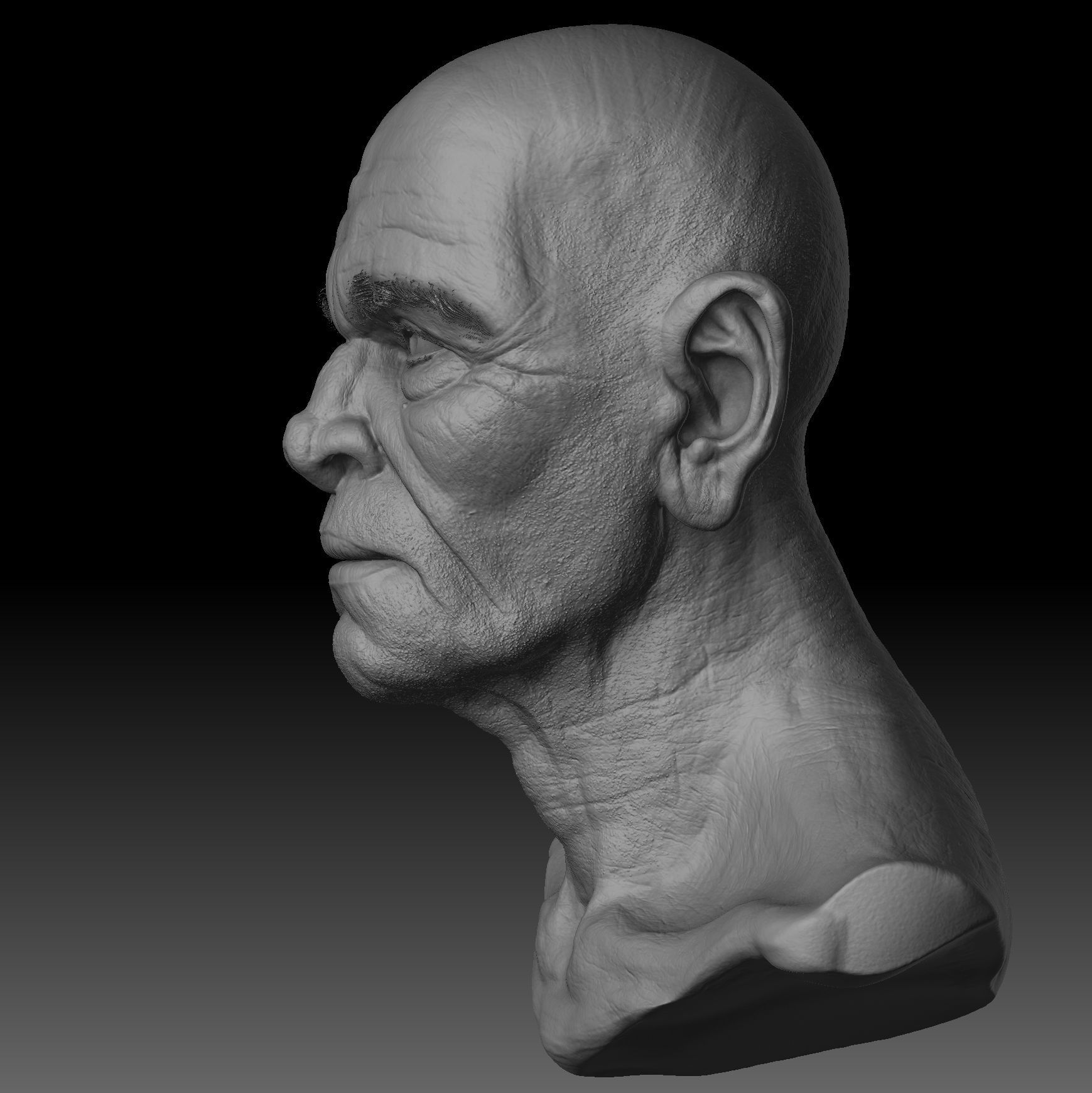 Realistic Old Man Head 3D Sculpt Low-poly 3D model_9