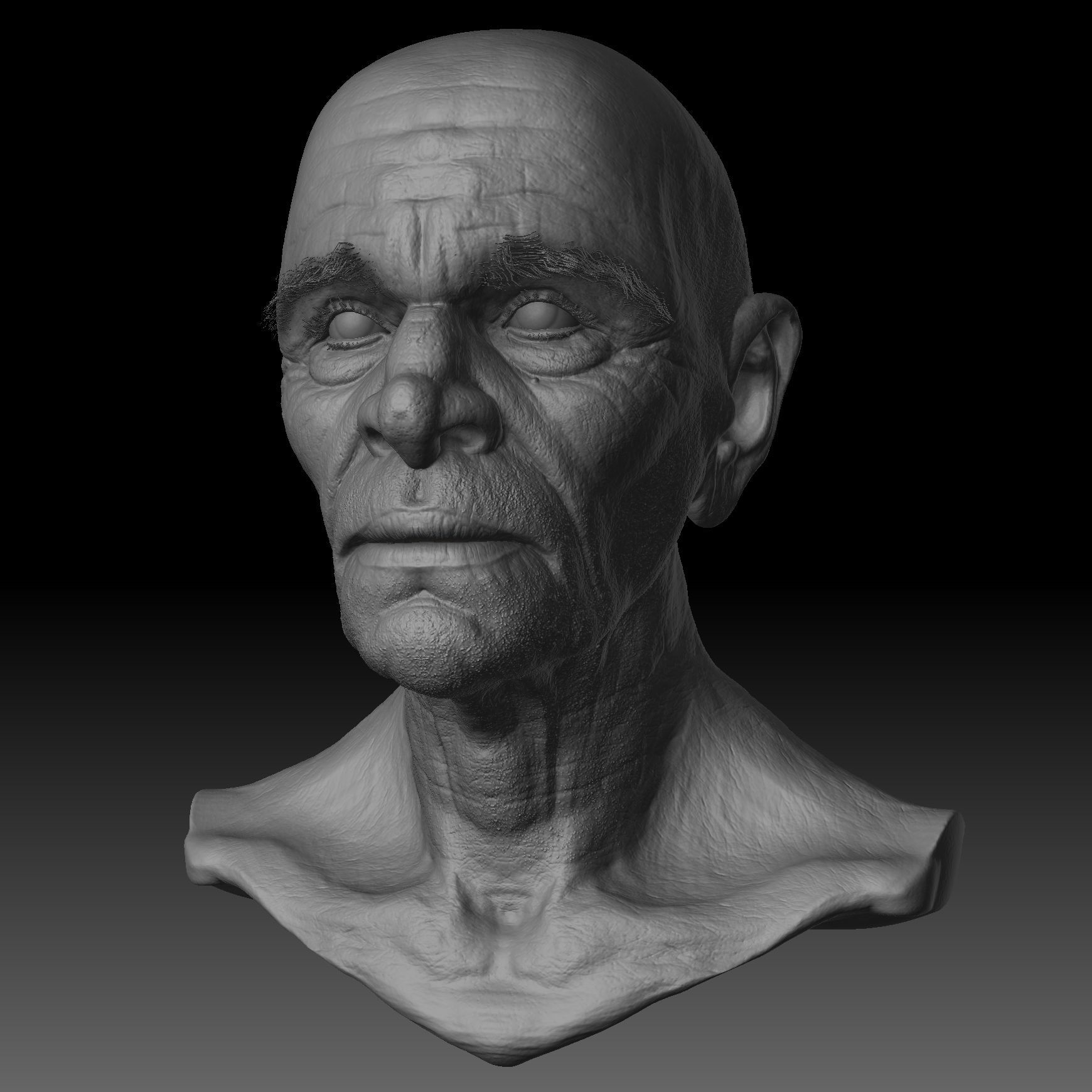 Realistic Old Man Head 3D Sculpt Low-poly 3D model_17