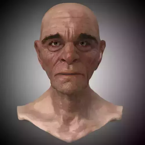 Realistic Old Man Head 3D Sculpt