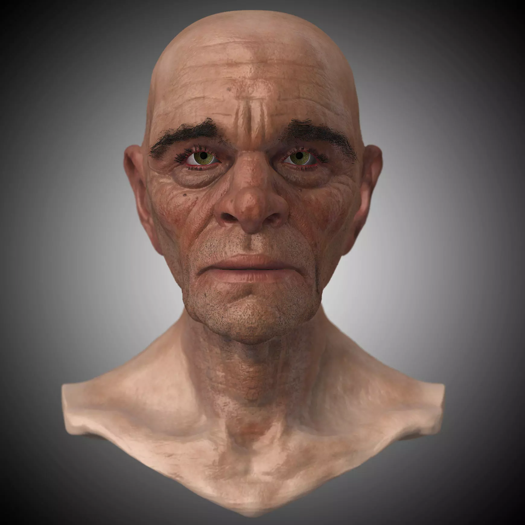 Realistic Old Man Head 3D Sculpt Low-poly 3D model_0