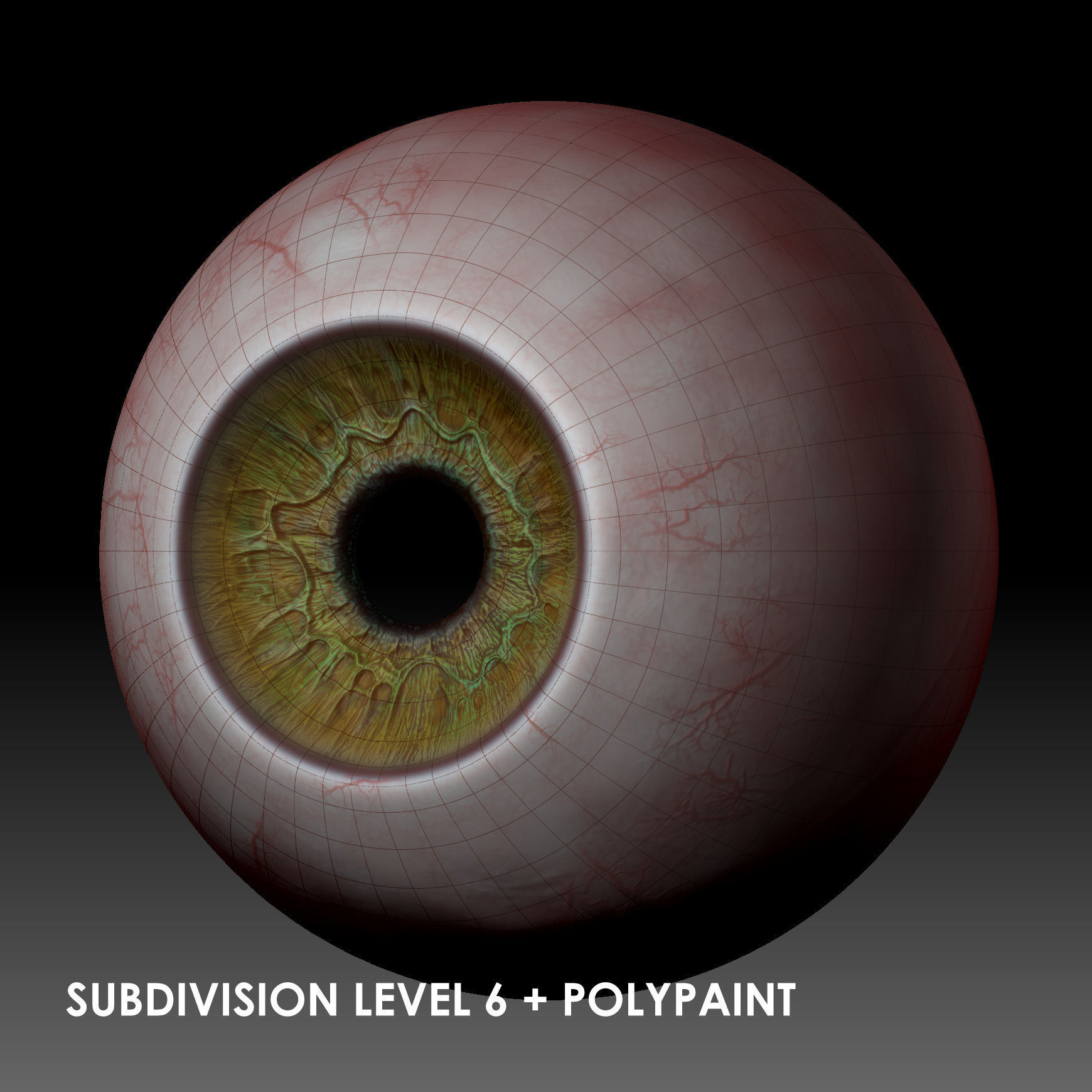 Realistic Old Man Head 3D Sculpt Low-poly 3D model_27