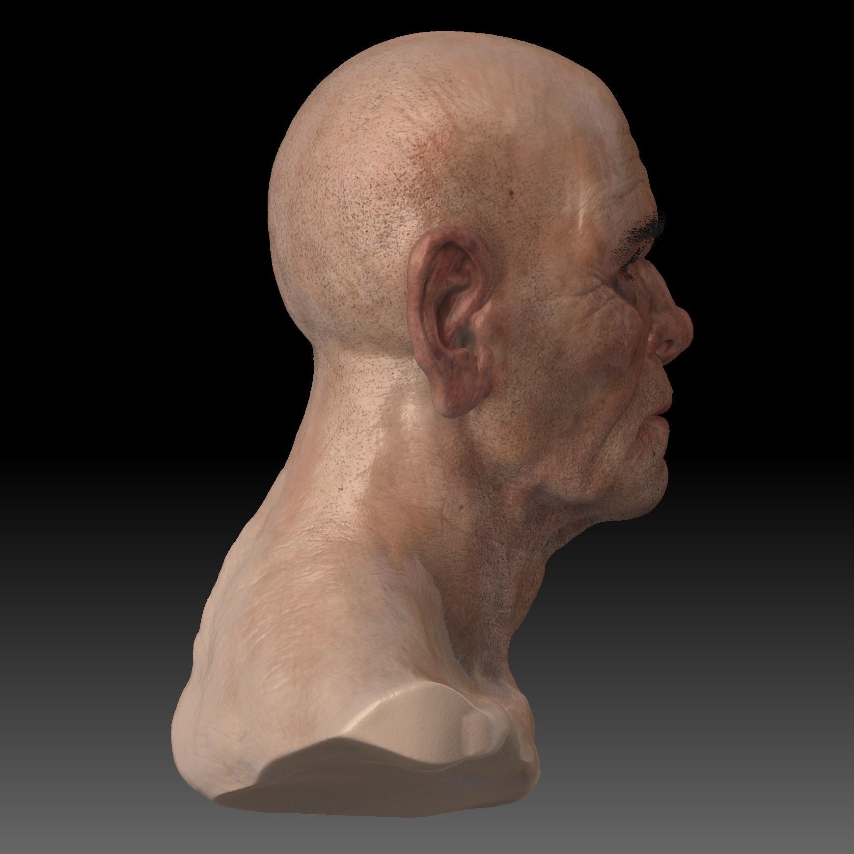 Realistic Old Man Head 3D Sculpt Low-poly 3D model_4