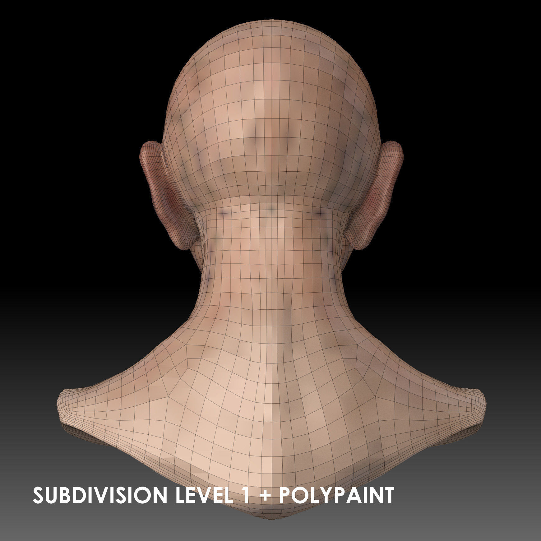 Realistic Old Man Head 3D Sculpt Low-poly 3D model_31