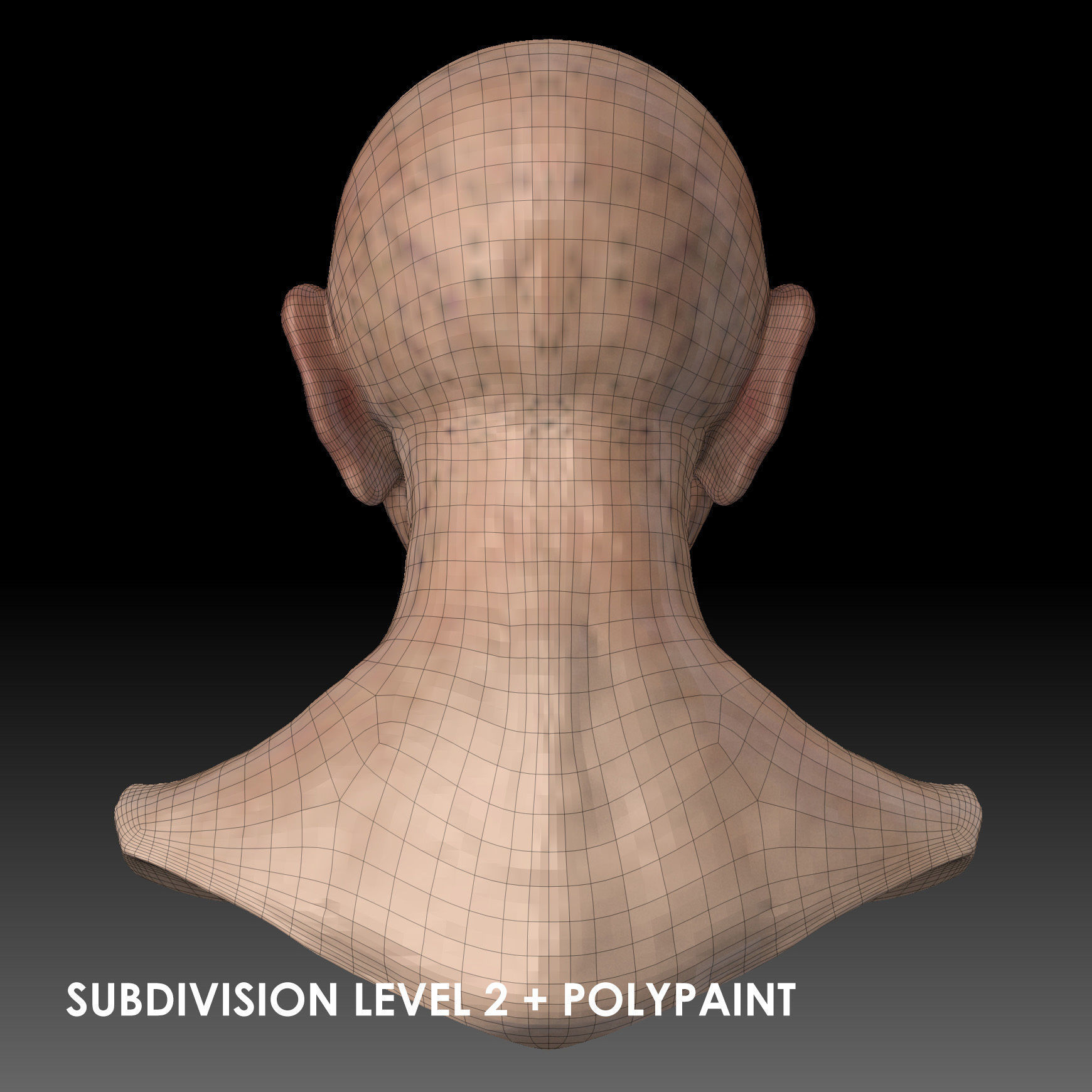 Realistic Old Man Head 3D Sculpt Low-poly 3D model_32