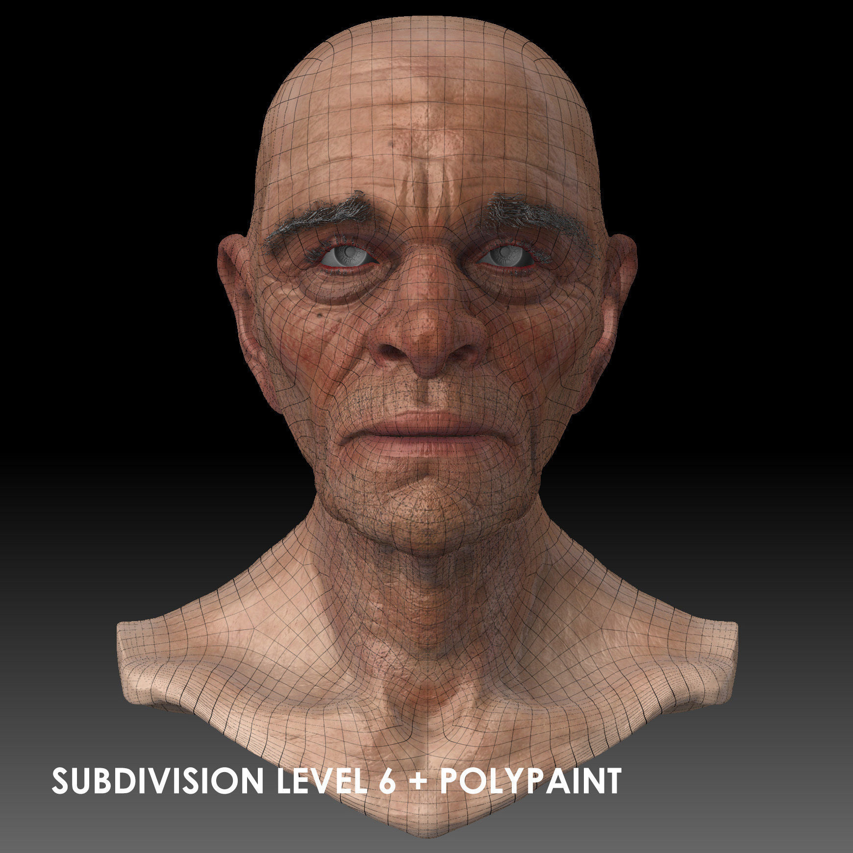 Realistic Old Man Head 3D Sculpt Low-poly 3D model_30