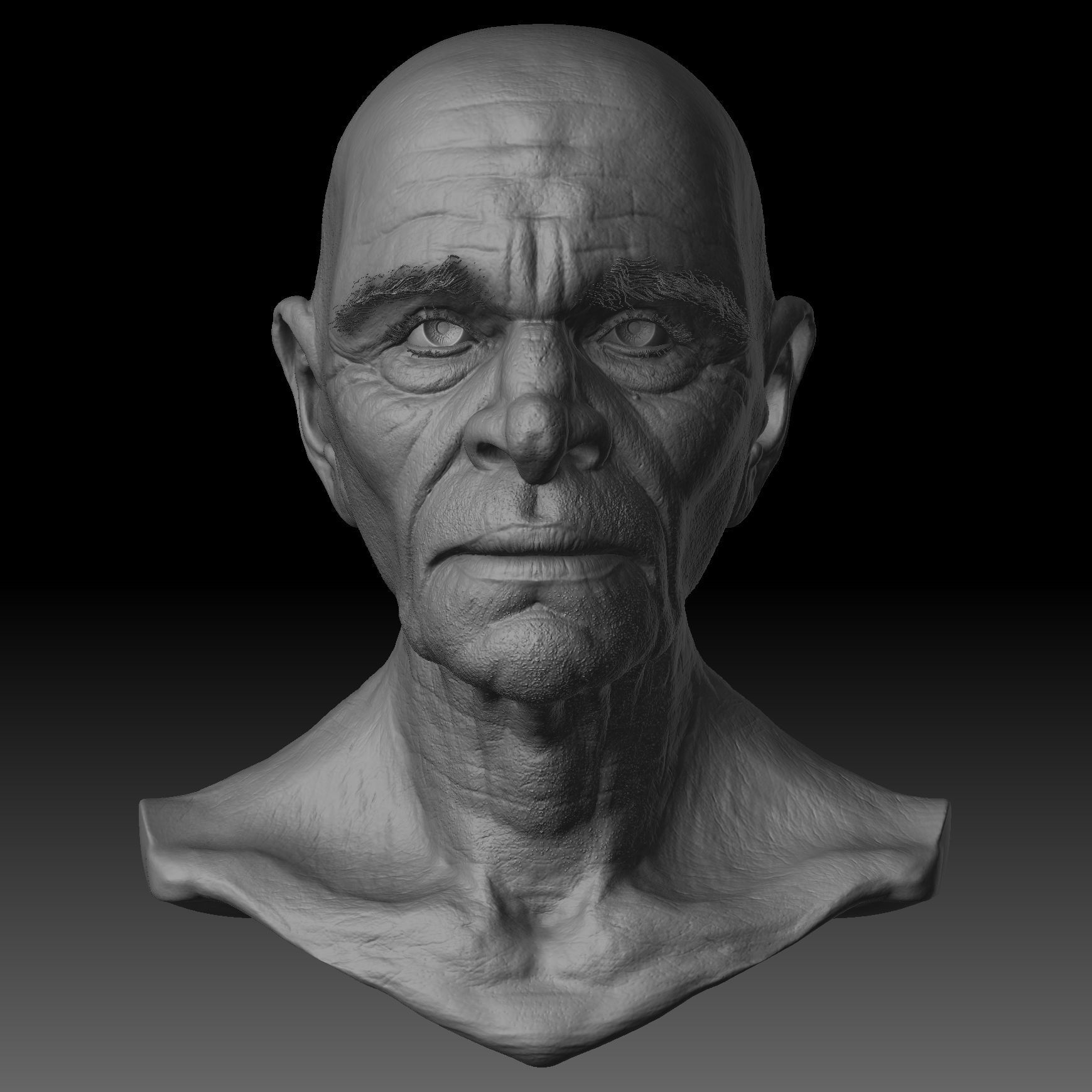 Realistic Old Man Head 3D Sculpt Low-poly 3D model_6