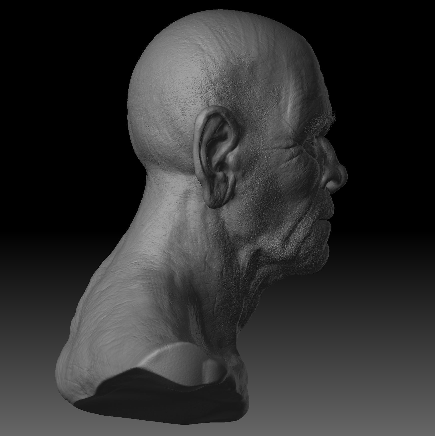 Realistic Old Man Head 3D Sculpt Low-poly 3D model_7