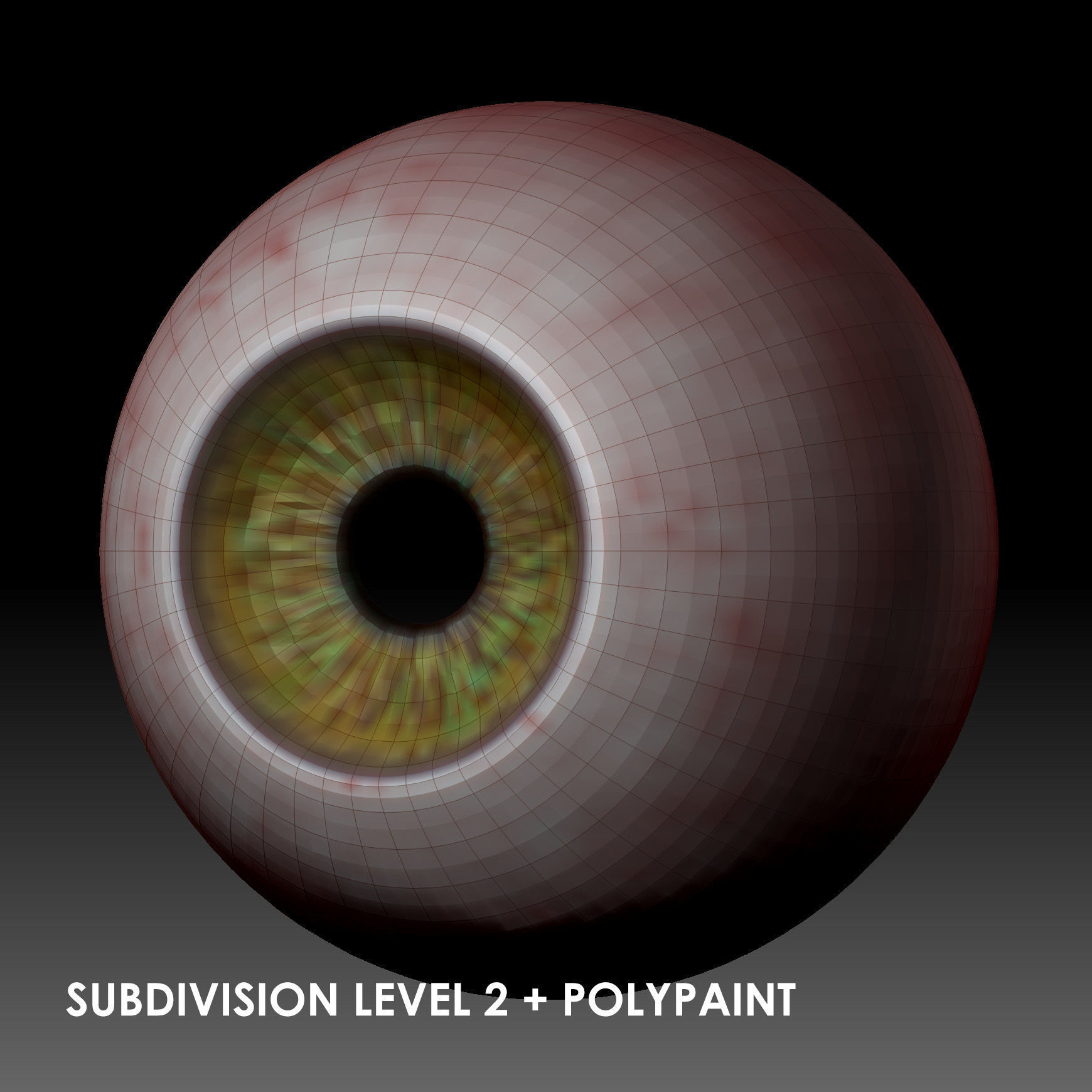 Realistic Old Man Head 3D Sculpt Low-poly 3D model_26