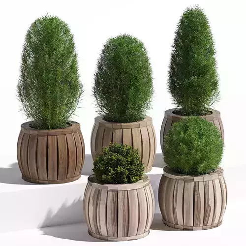 Rowlinson four wooden planters 3D model