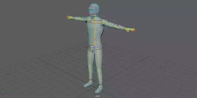 Character Rig Free low-poly 3D model