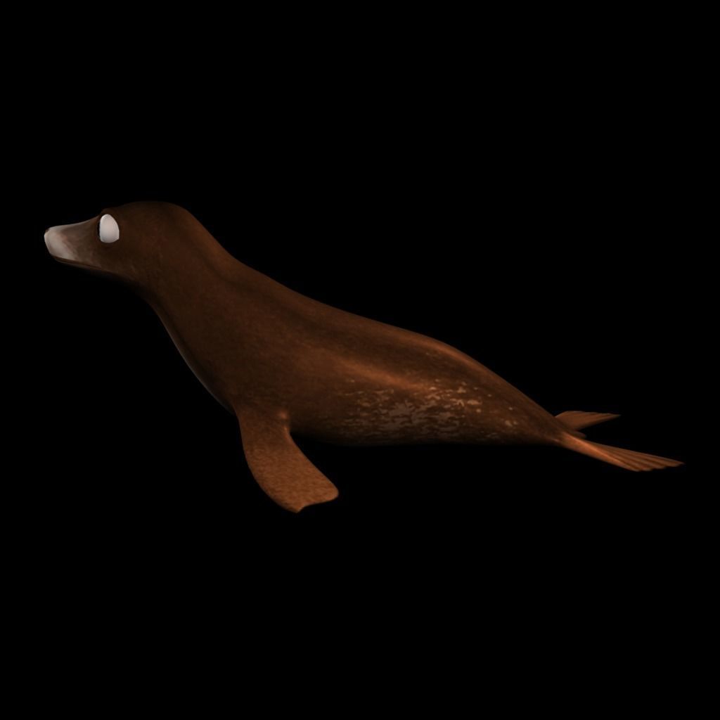 3D Cartoon Sea Lion Low-poly 3D model_5