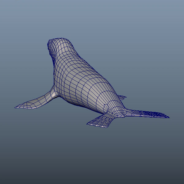 3D Cartoon Sea Lion Low-poly 3D model_3