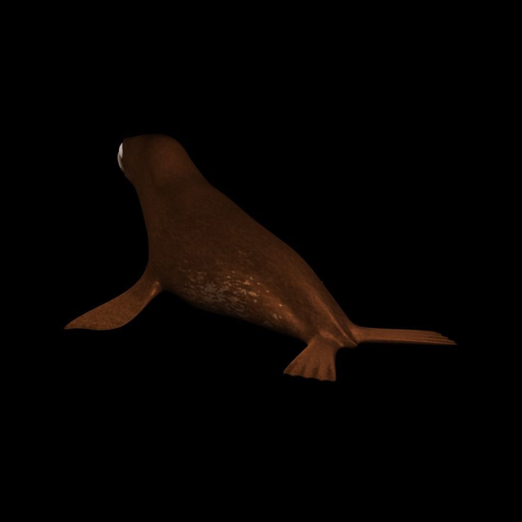 3D Cartoon Sea Lion Low-poly 3D model_6