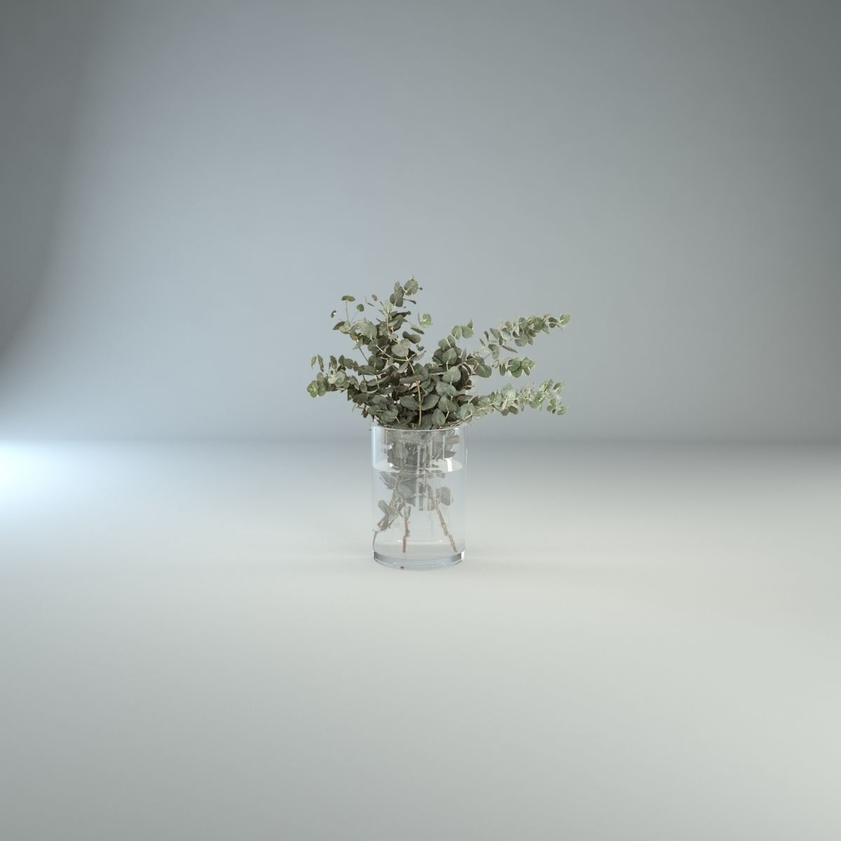 Eucalyptus in glass vase 3D model_3