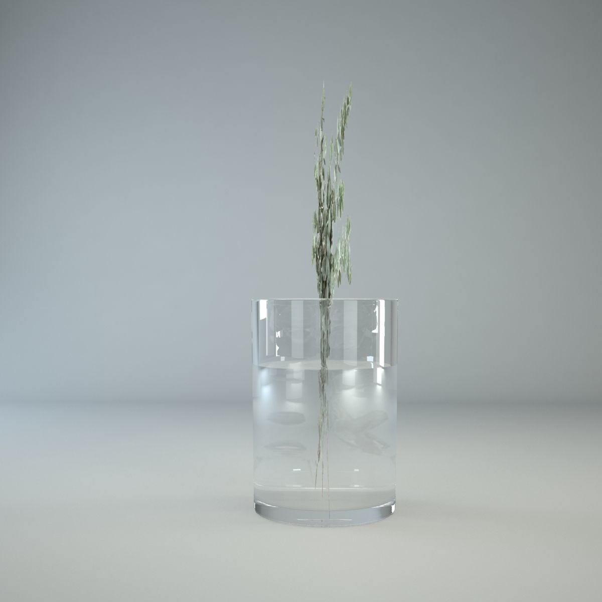 Eucalyptus in glass vase 3D model_1