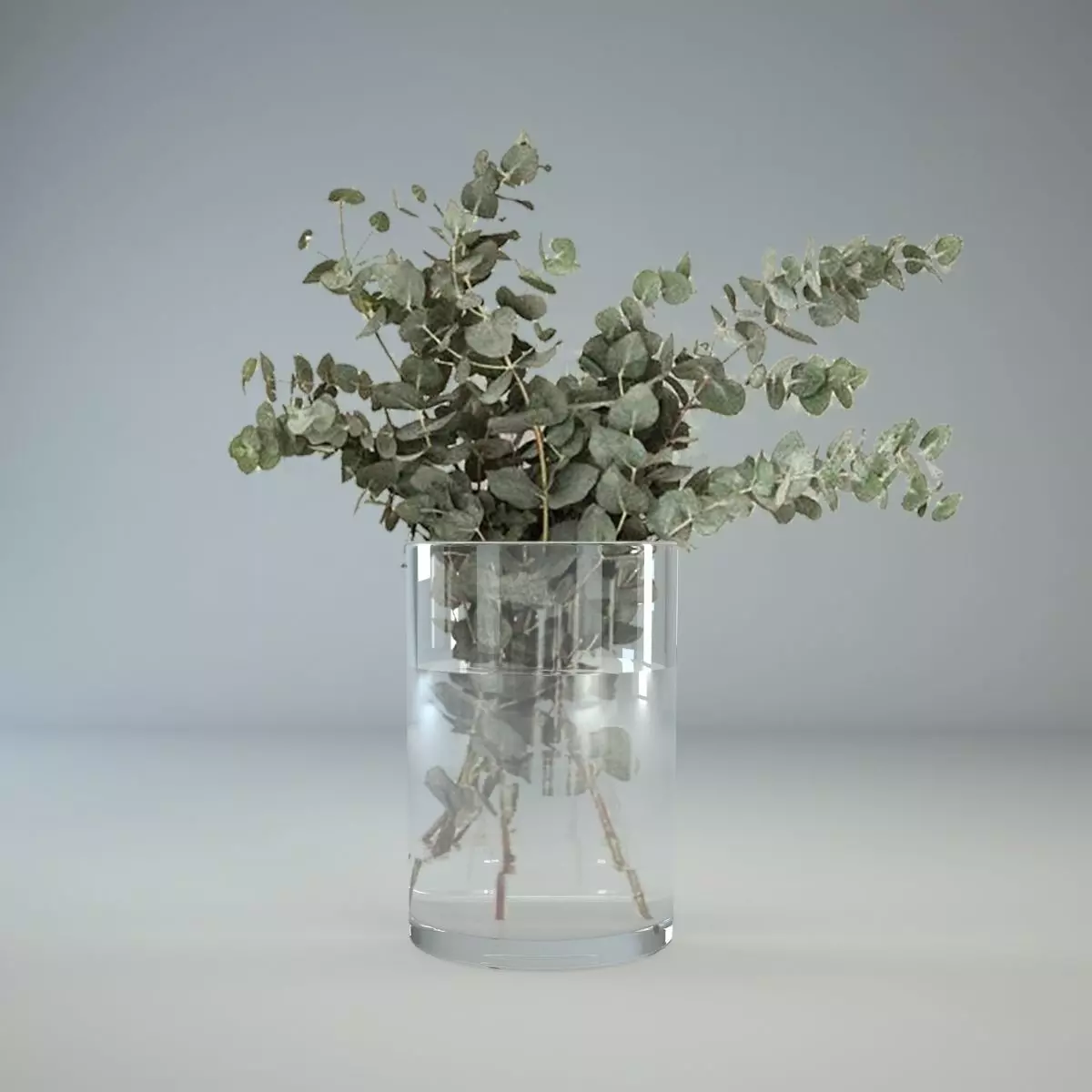 Eucalyptus in glass vase 3D model_0
