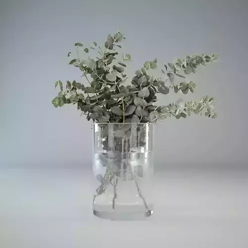 Eucalyptus in glass vase 3D model