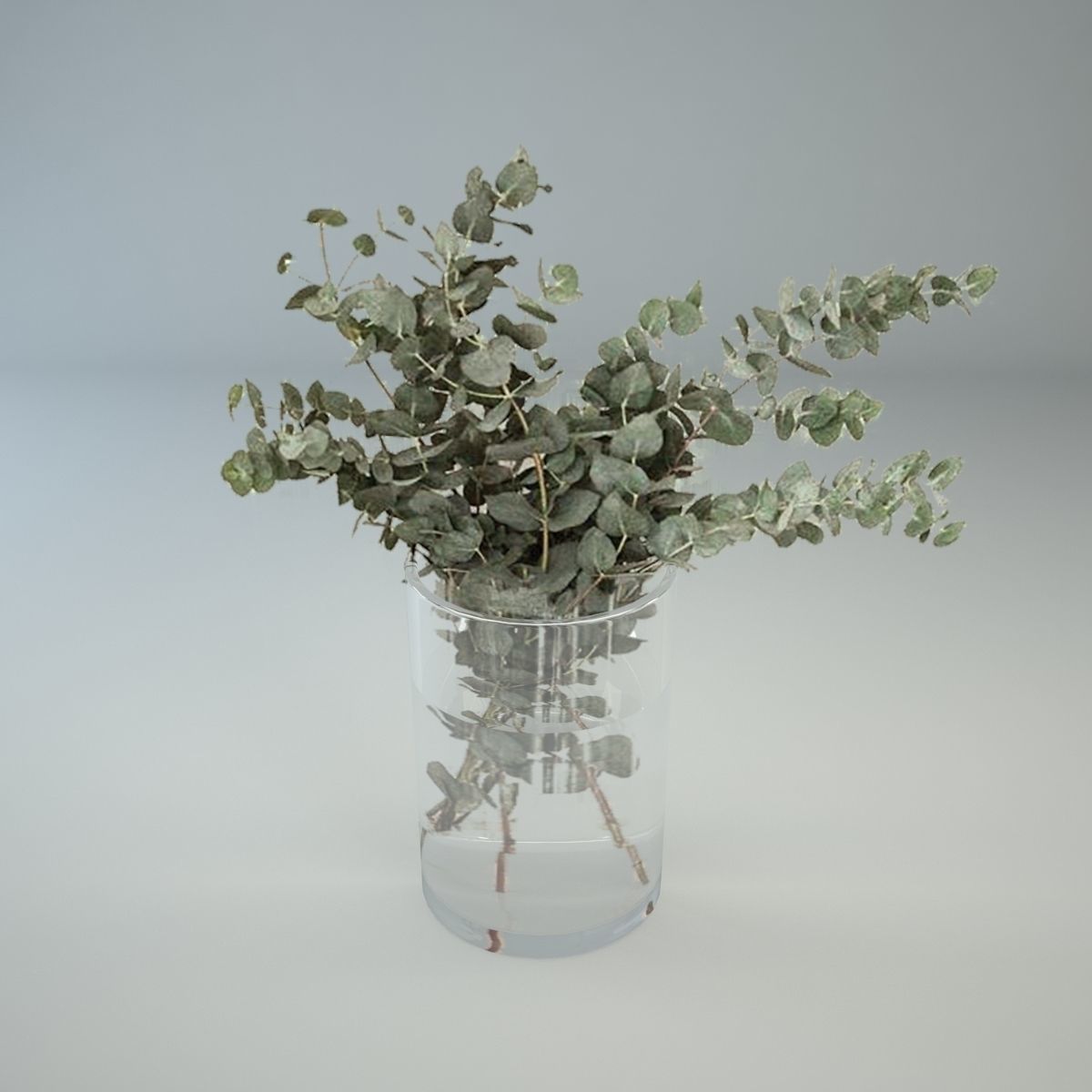 Eucalyptus in glass vase 3D model_2