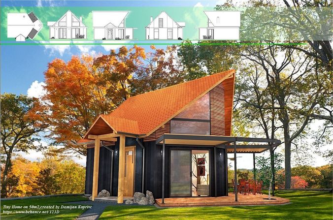 Tiny house exterior interior on 50 m2 with  full accommodation Low-poly 3D model