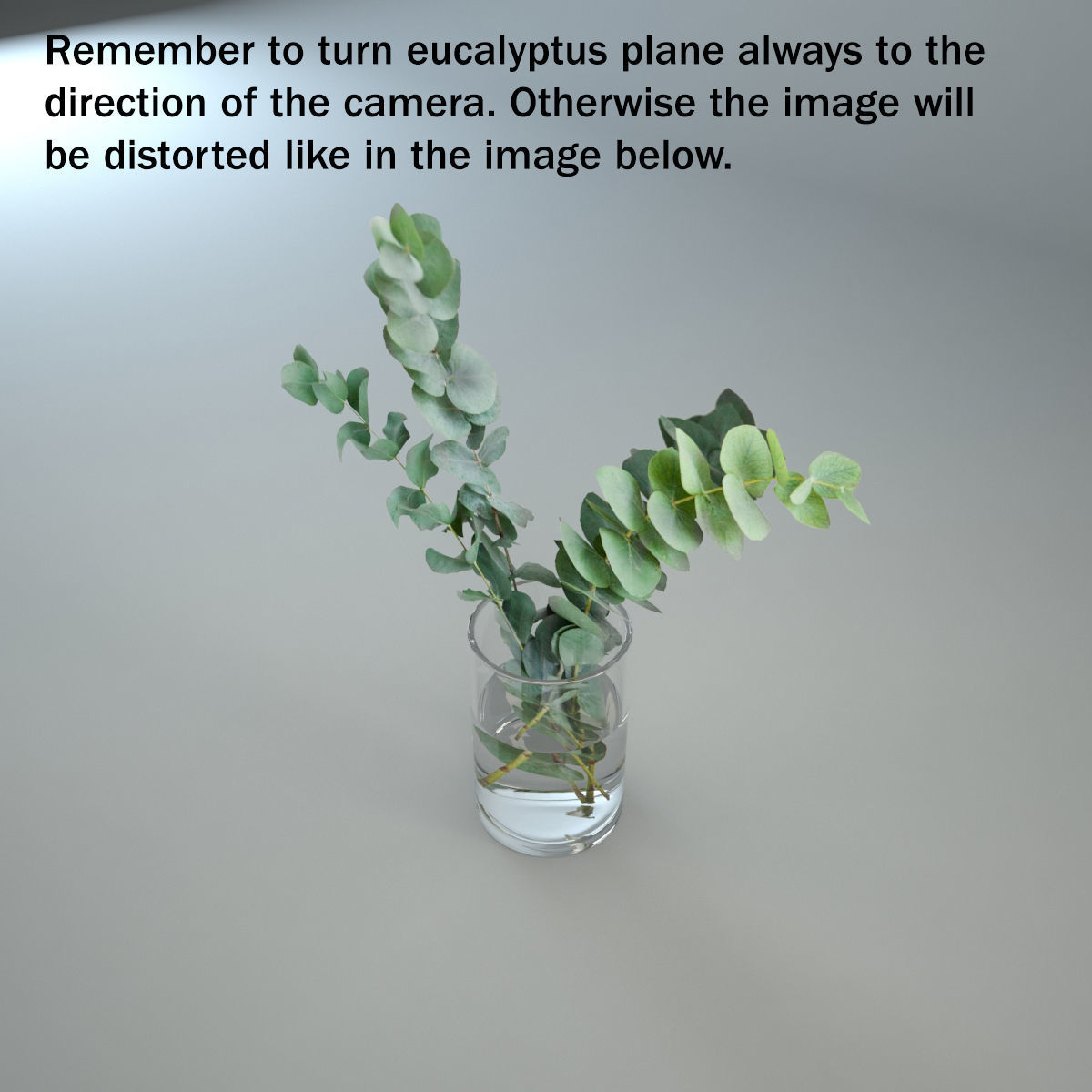 Eucalyptus in a glass vase 3D 3D model_3
