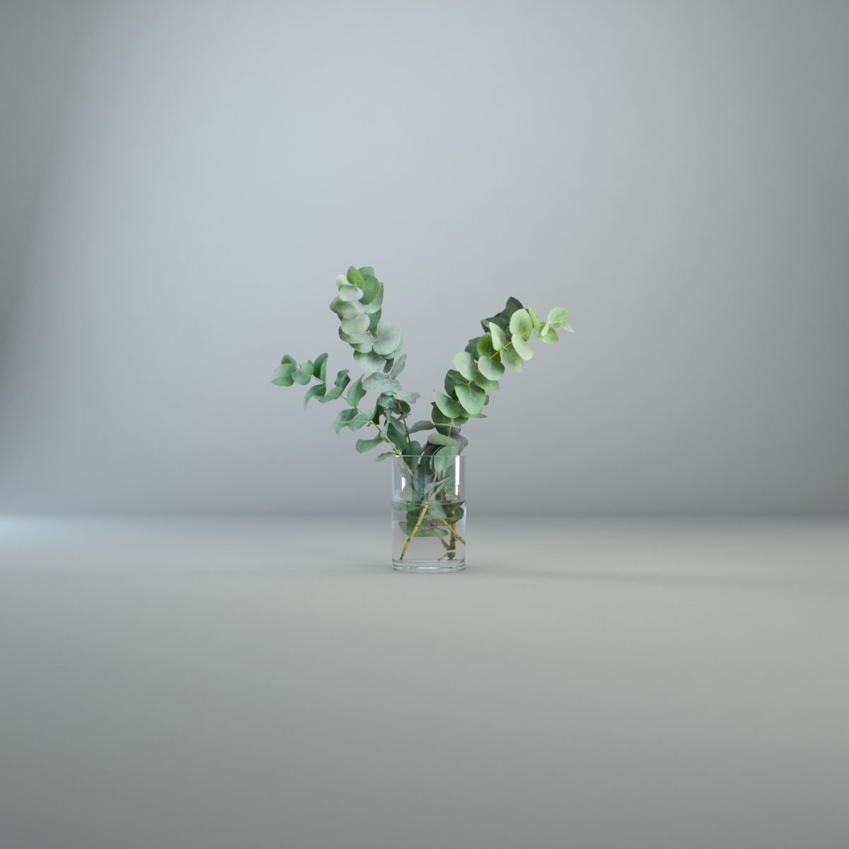 Eucalyptus in a glass vase 3D 3D model_2