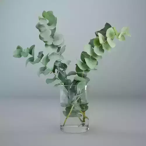 Eucalyptus in a glass vase 3D