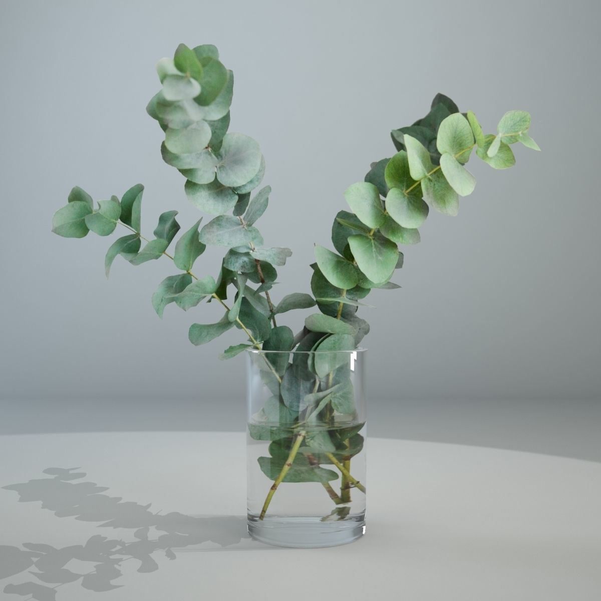 Eucalyptus in a glass vase 3D 3D model_5