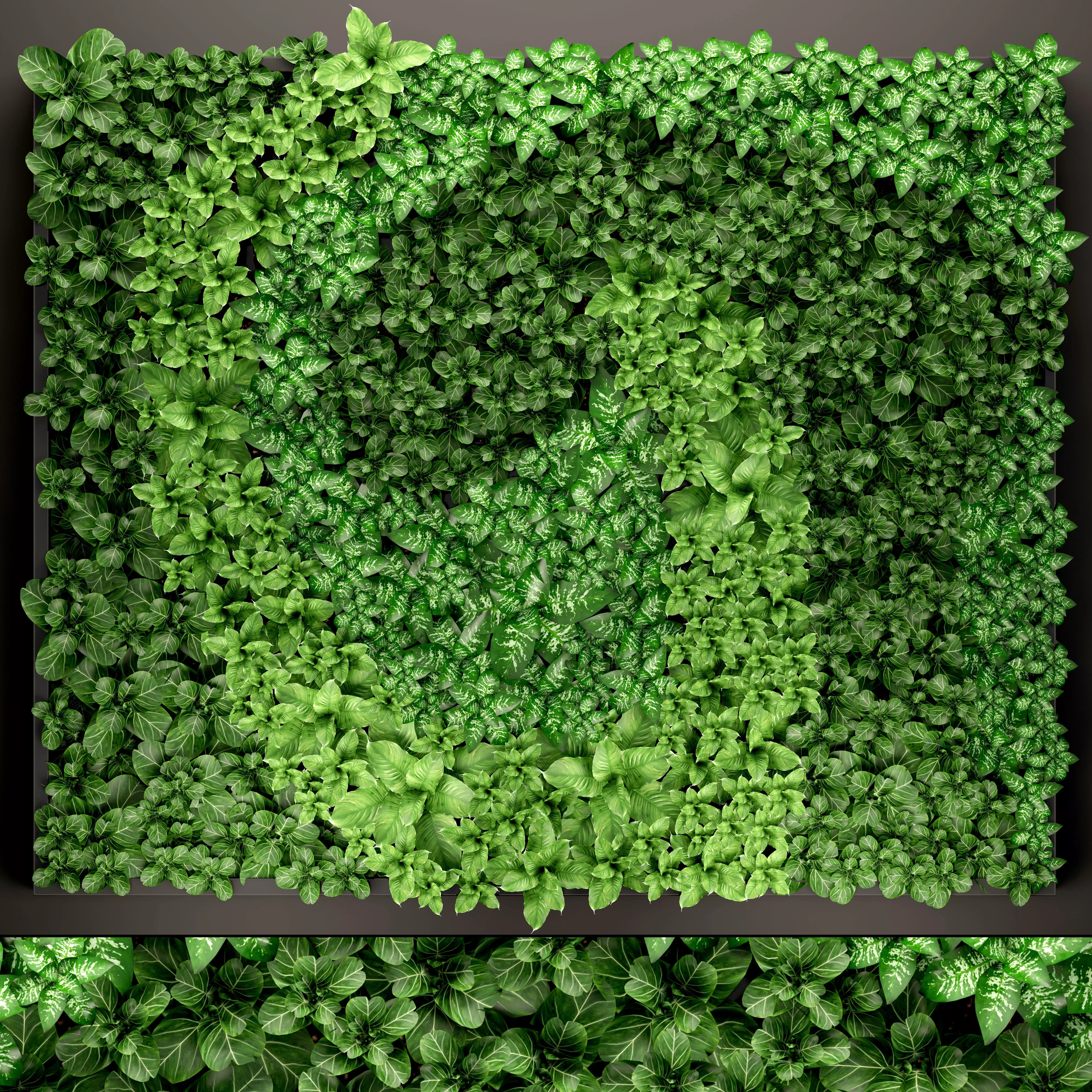 Vertical gardening 3D model_0