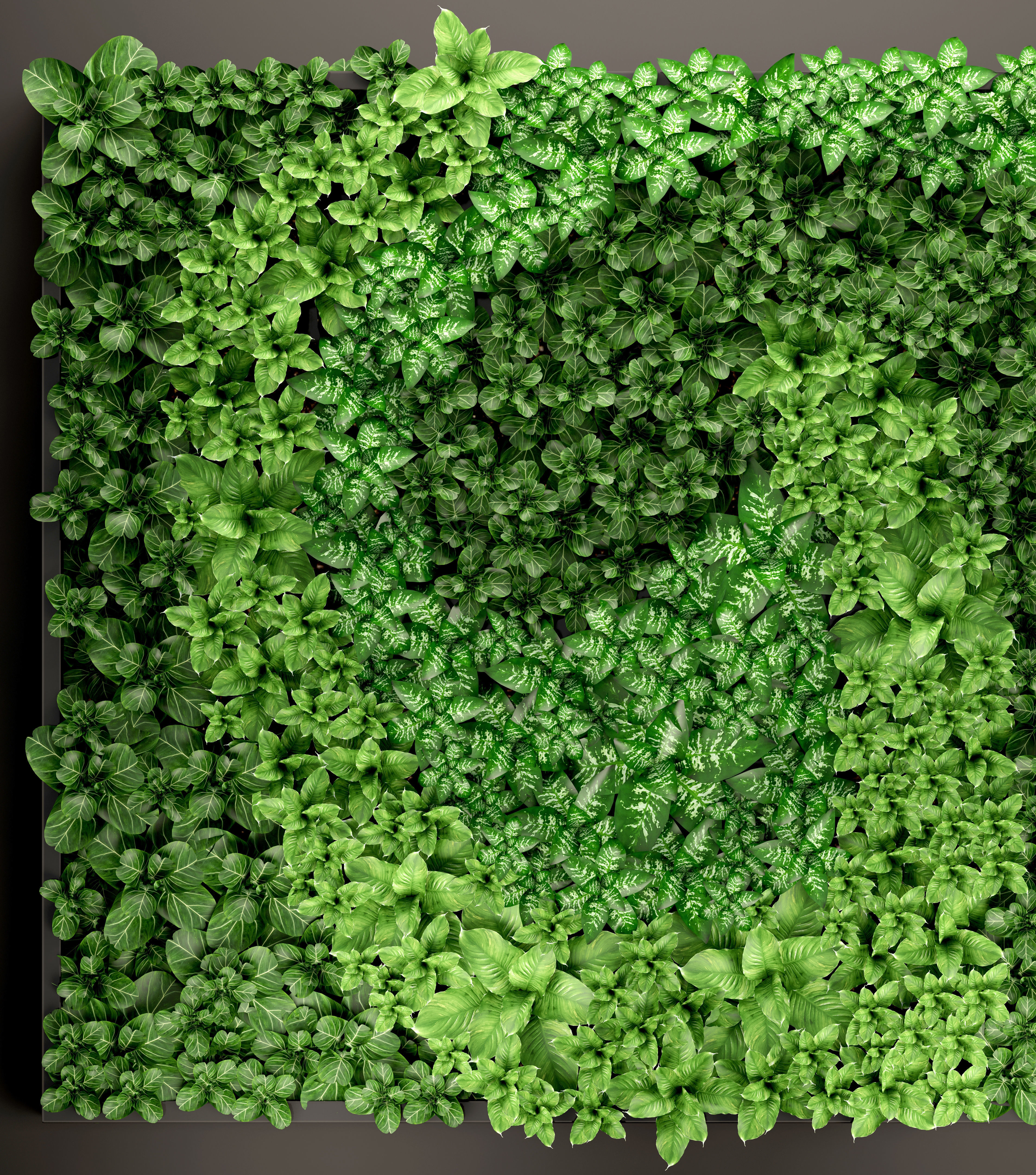 Vertical gardening 3D model_8