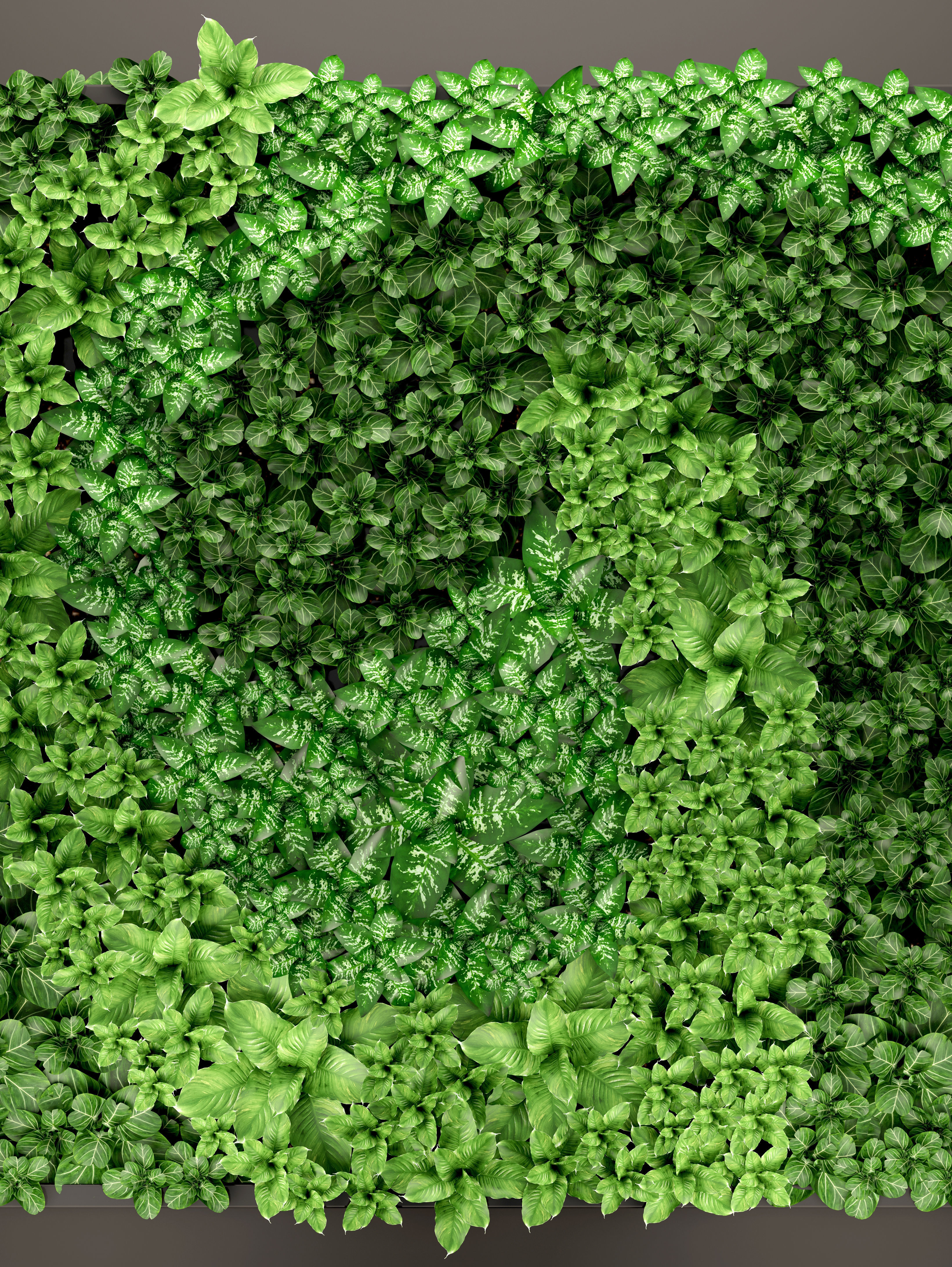 Vertical gardening 3D model_7