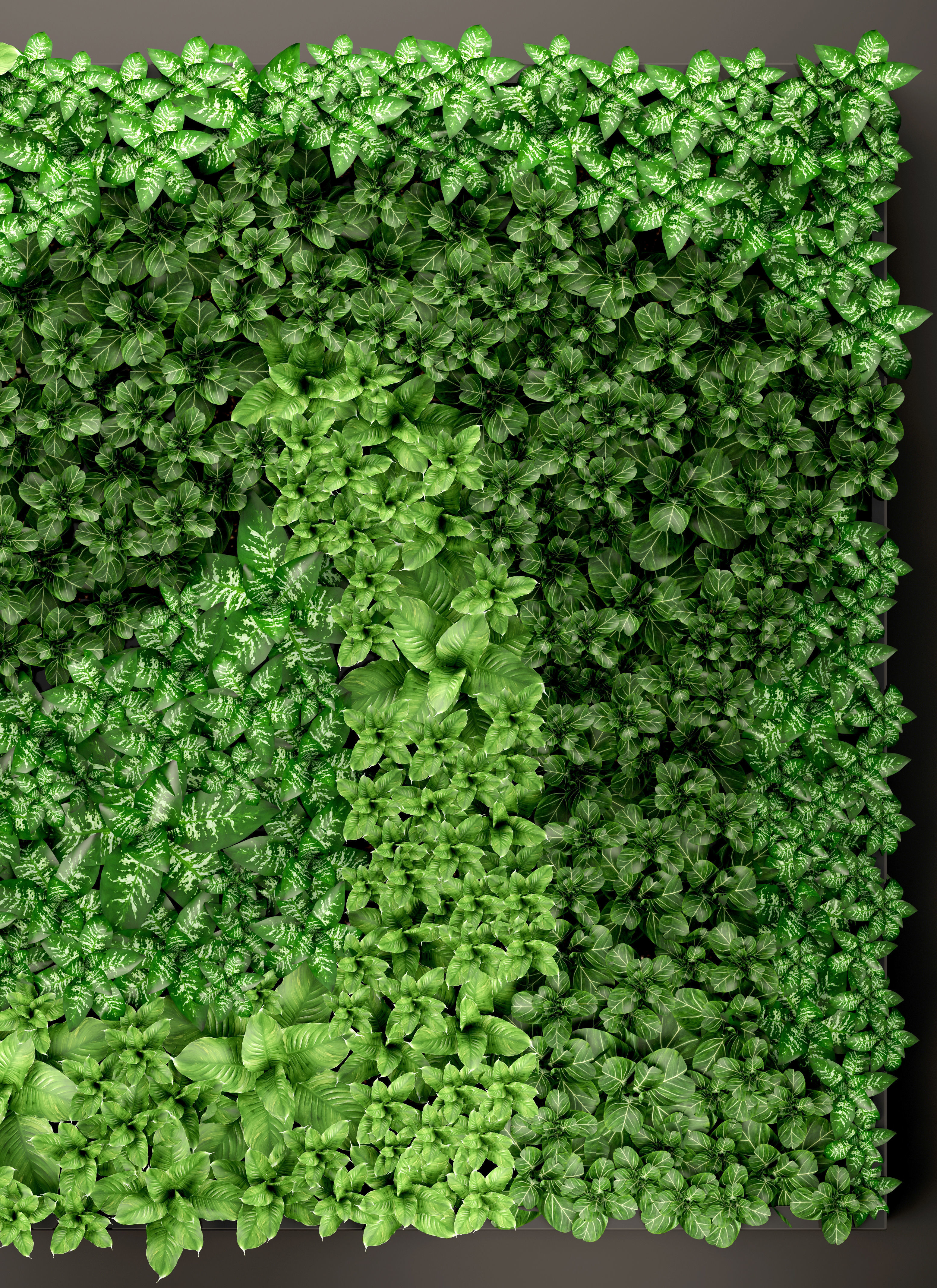 Vertical gardening 3D model_5