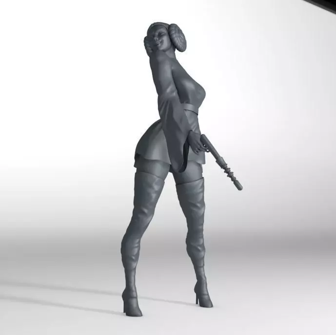Princess Leia 3D model_0