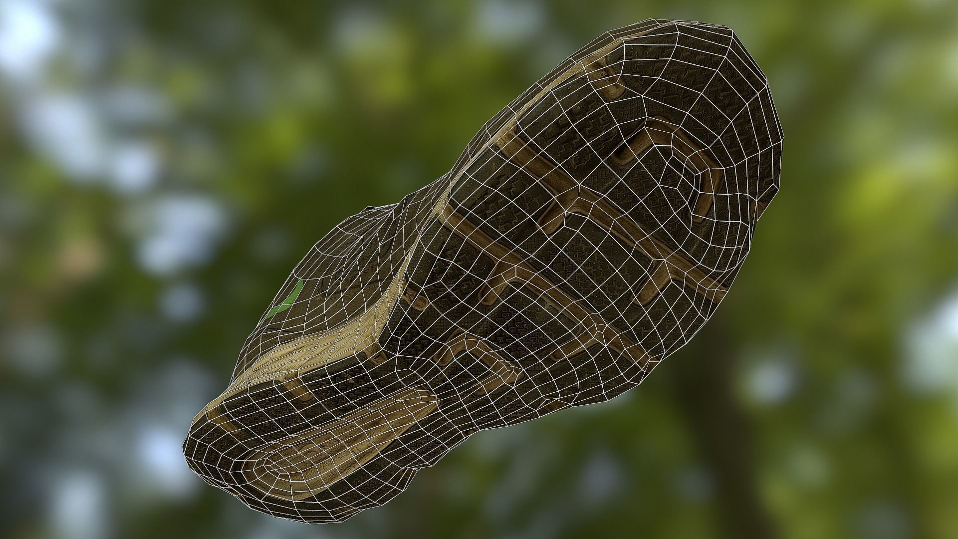 Worn Nike shoe low poly 3D model Low-poly 3D model_14