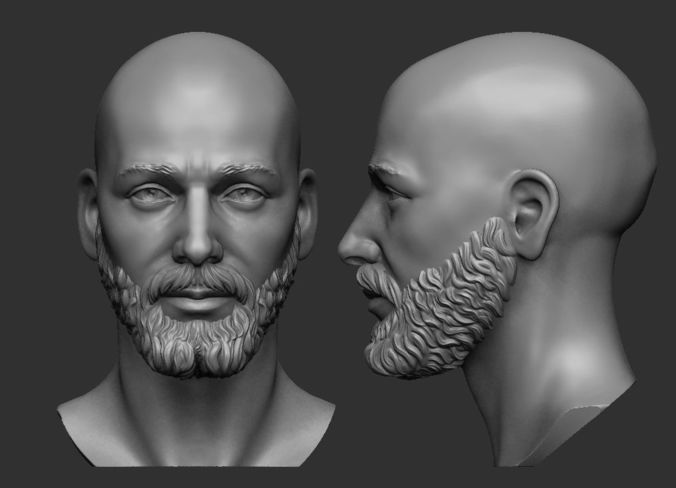 Male Head Printable 3D print model