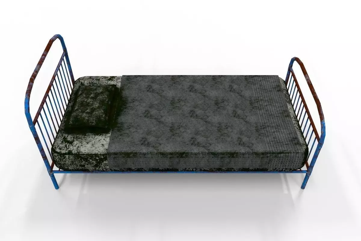 Old Bed with Mold 3D model_0