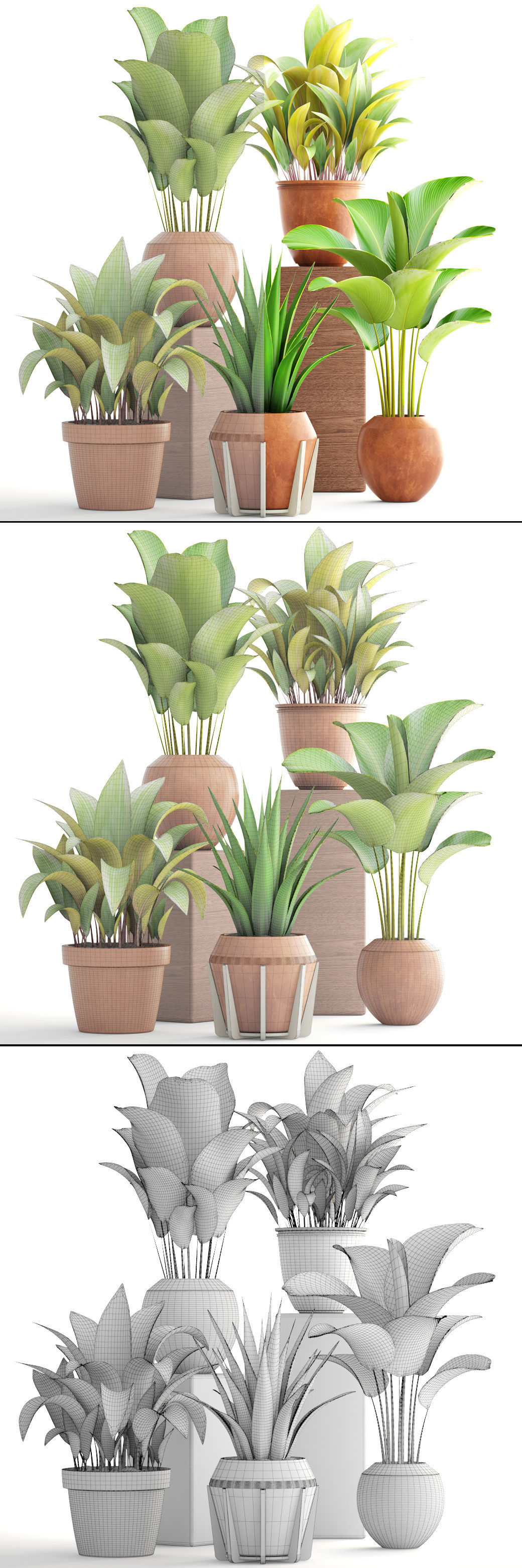 Collection of plants 3D model_10
