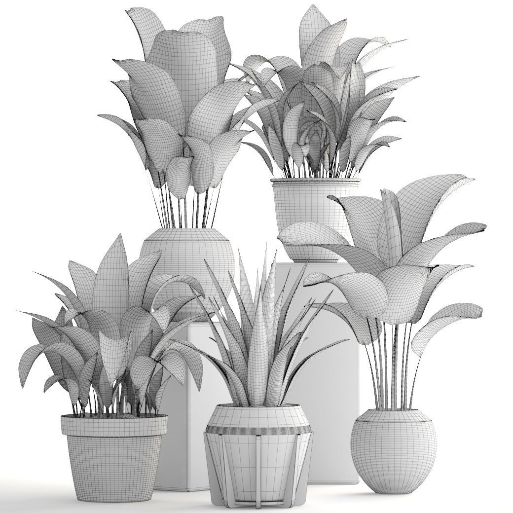 Collection of plants 3D model_5