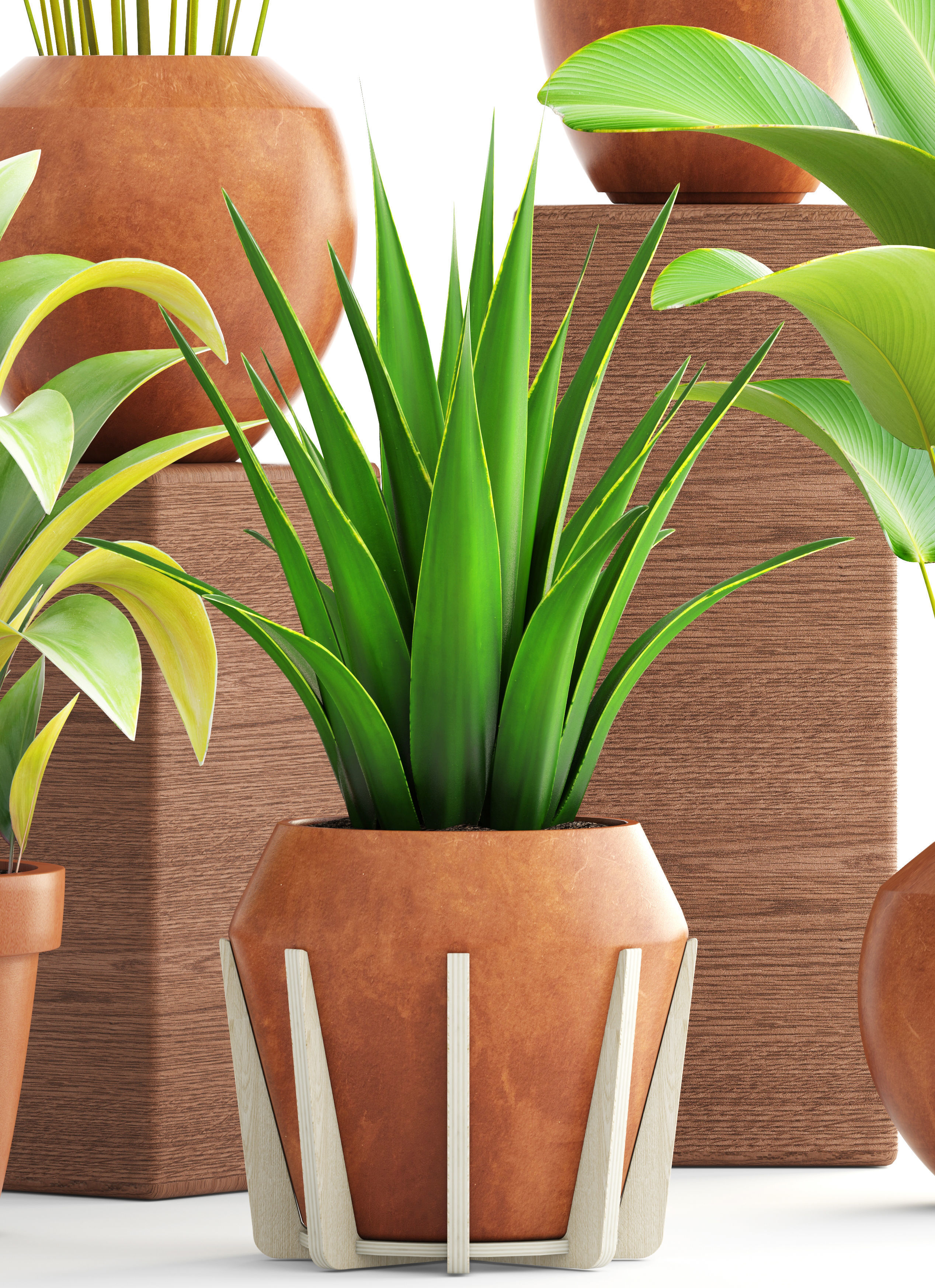 Collection of plants 3D model_8