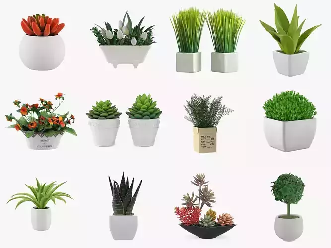 Pot Plant 12 3D Models