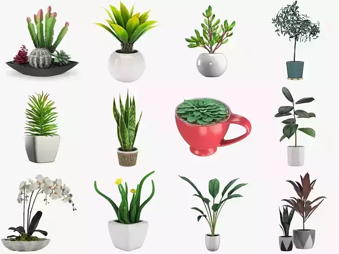 Pot Plant 12 3D models