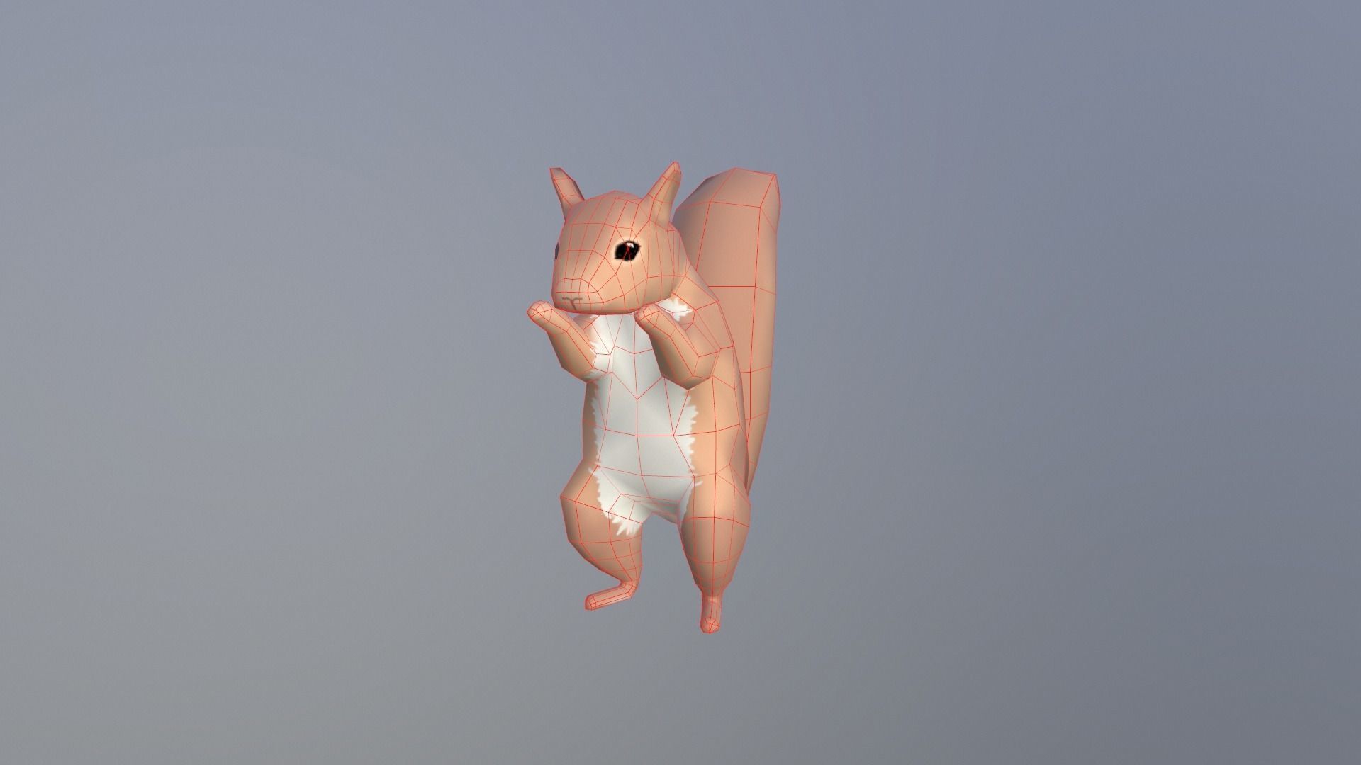 Low-poly Squirrel Low-poly 3D model_5