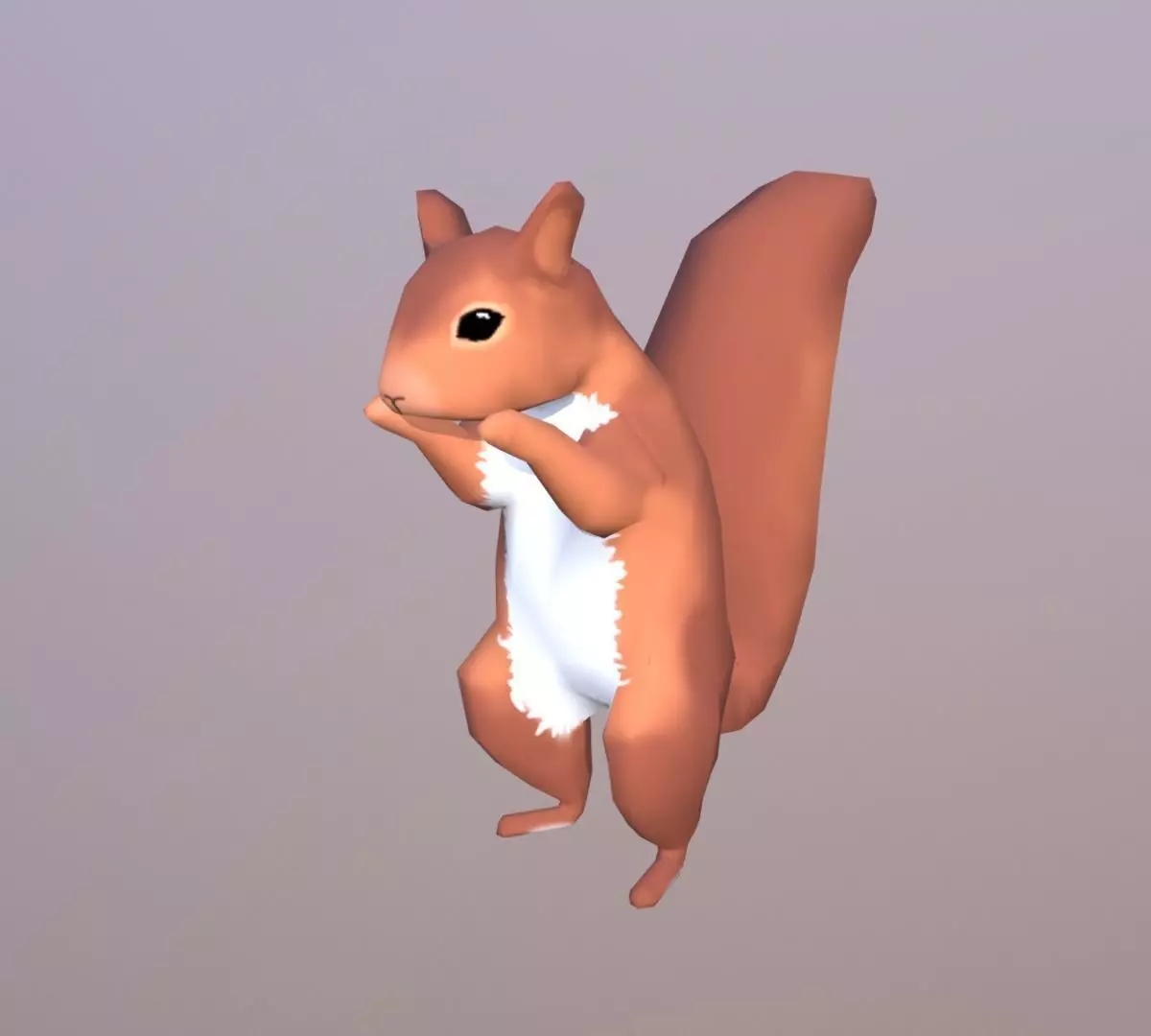 Low-poly Squirrel Low-poly 3D model_0