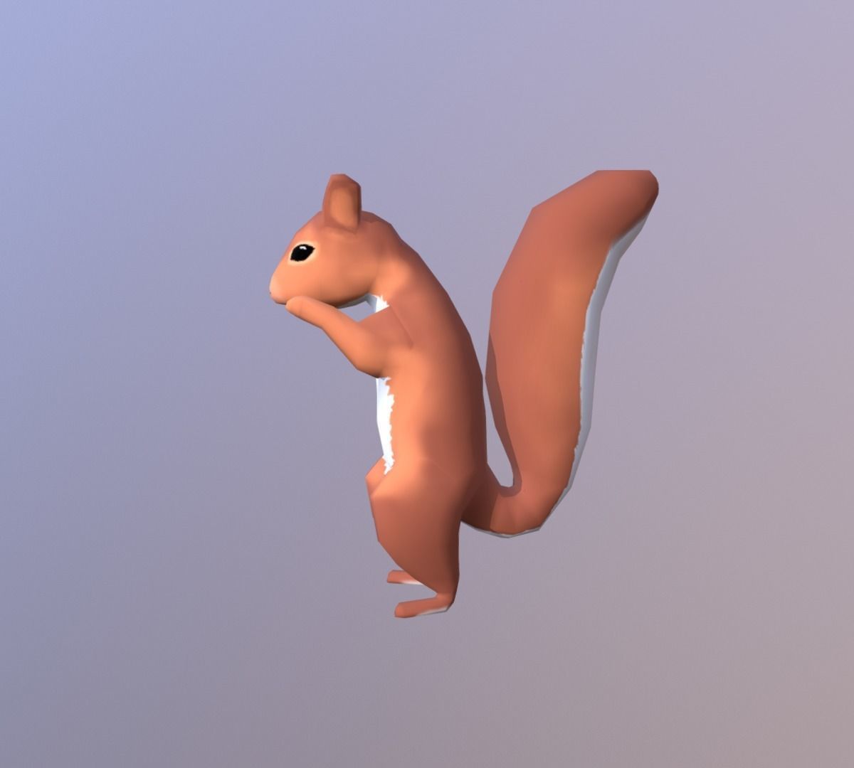 Low-poly Squirrel Low-poly 3D model_2